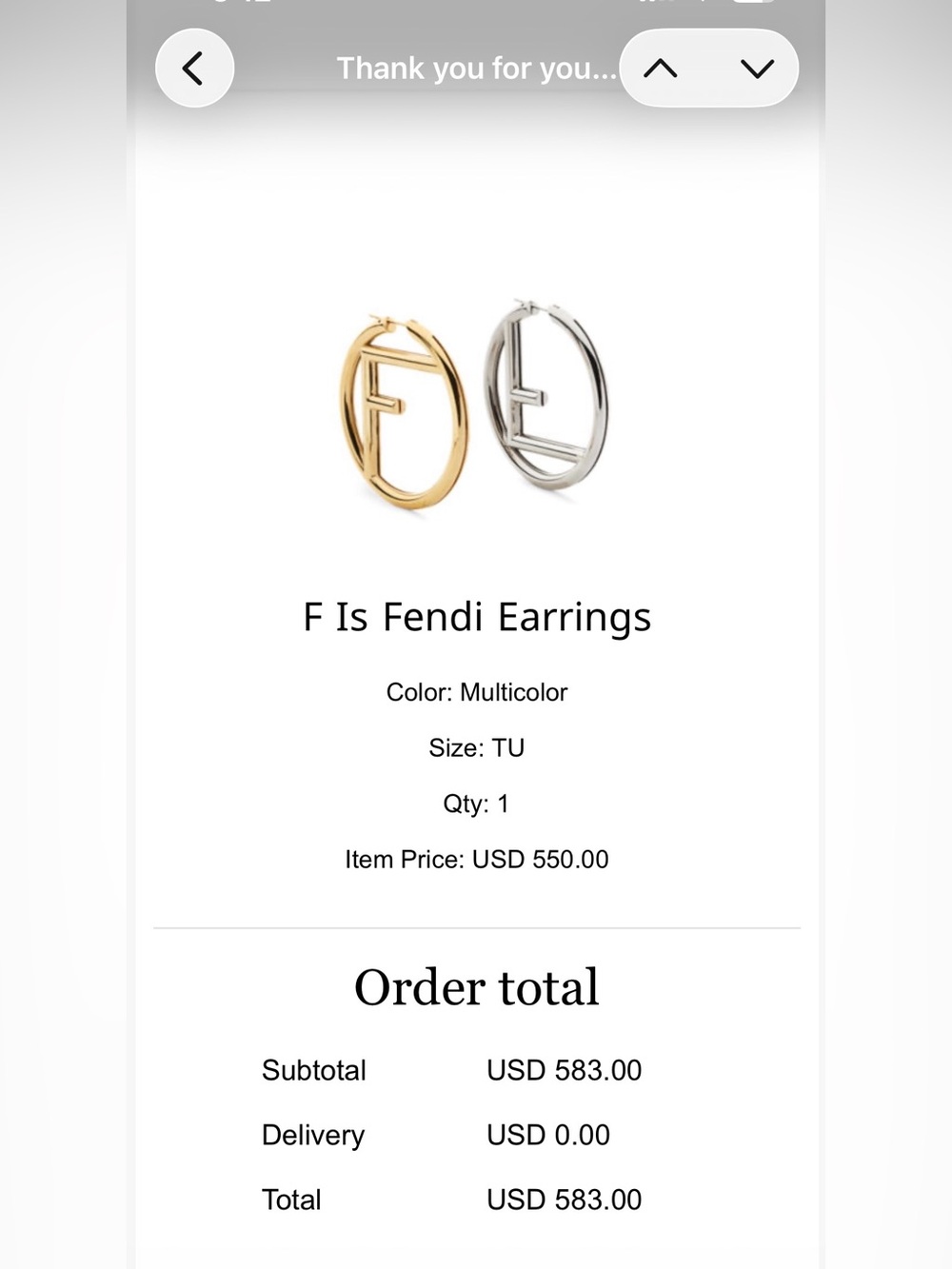 F is Fendi Earrings silver/gold